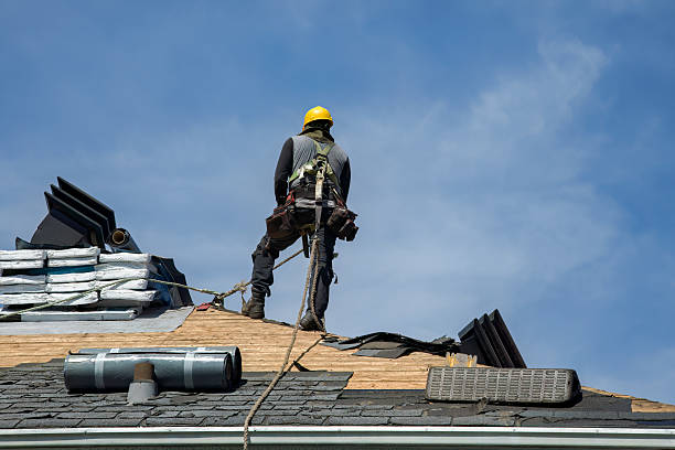 Professional Roof Replacement technician working in Divernon, IL